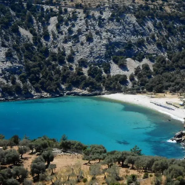 bucht-an-der-nordwestku%cc%88ste-von-thassos-bilda-schmidt bucht-an-der-nordwestku%cc%88ste-von-thassos-bilda-schmidt