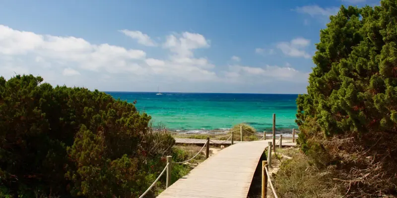 Formentera_Strandzugang_Playa_Migjorn.Bild@Formentera.de Formentera Strandzugang zum Playa Migjorn