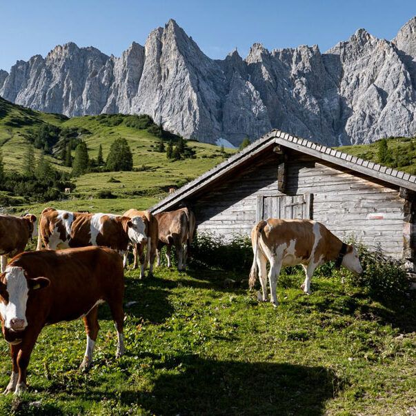 Hotel_ENG-natur_pur_die_eng.Bild.Hotel_ENG.1 Hotel ENG - Natur pur erleben