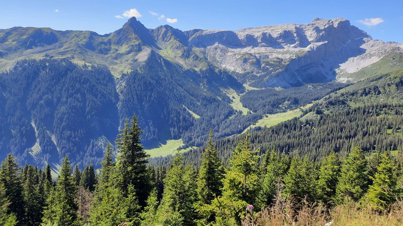 Montafon_Gauertal_Aussicht.Bild.N.Sorgenfrei.quer Montafon - Gauertal Aussicht
