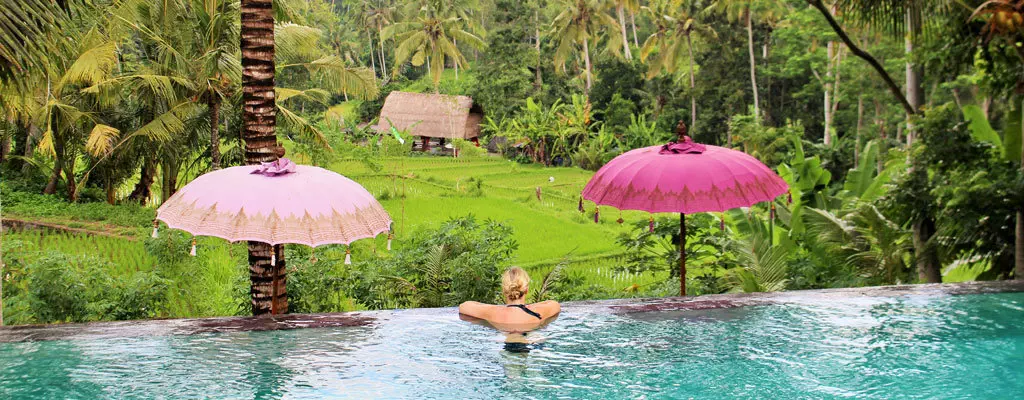 Unwirklich: Infinity-Pool mit Wow-Blick auf Reisfelder und Dschungel, dazu diese zauberhaften Bali-Schirme, mit Stroh bedeckte Daybeds und Bungalows in einem wunderschönen Garten verteilt …