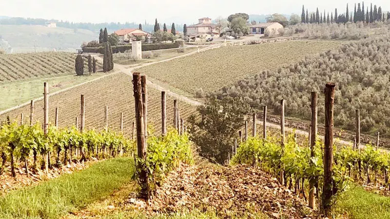Chianti Weingebiet Casnuova di Ama