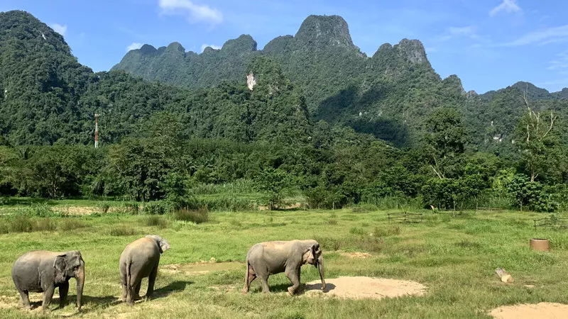 Elephant-Hills-Elefanten Foto: © Andrea Fischer