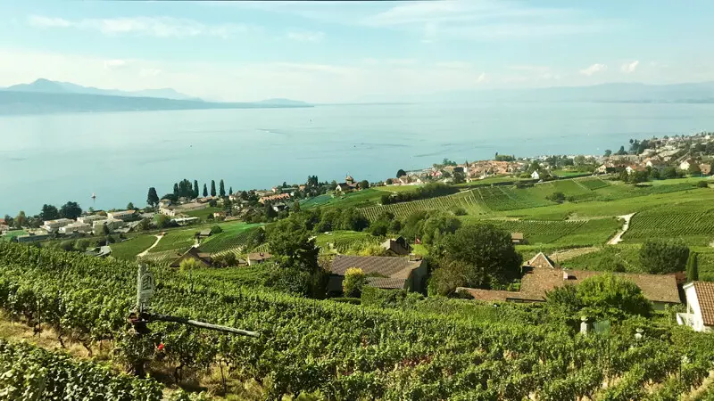 Genfer-See-Blick von der Bahn Foto: Andrea Fischer