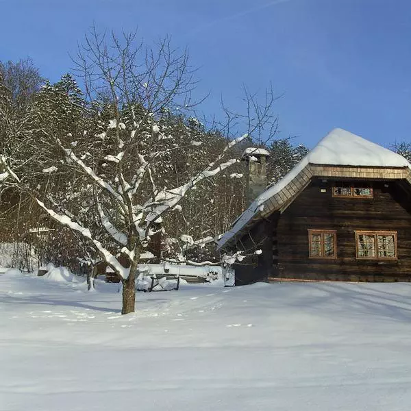Gfaellhuette im Winter -Ferienhof Sellmayer