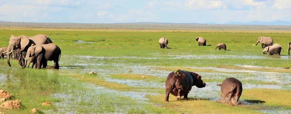 Unsere Autorin Adrienne Friedlaender hat als Reisejournalistin schon viel gesehen... Und sie ist sicher: eine Safari gehört unbedingt zum „Once in a Lifetime“–Erlebnis. Seit sie das erste Mal in Afrika im Busch war, war es ihr Herzenswunsch dieses Erlebnis mit ihren Jungs zu teilen. Denn von Afrika kann man nicht erzählen. Afrika muss man erleben!