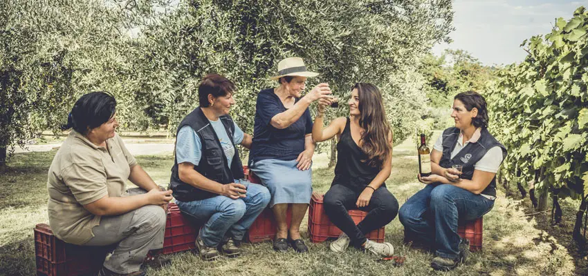 Miriam_Lee_Masciarelli_Weinlese_Weinberg_©_Masciarelli_Tenute_Agricole