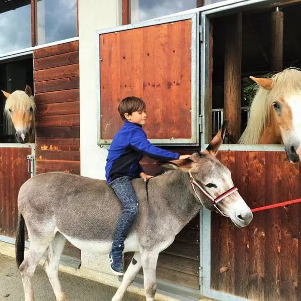 Kind beim Pferdestall- Moesslacherhof © Foto: Nussin Armbrust