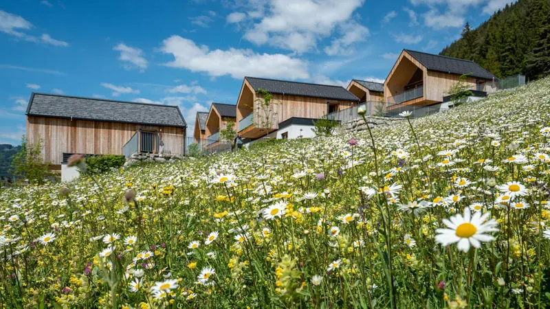 See-Chalets-in-der-Natur-am-Weissensee
