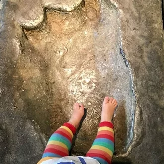 Fußabdruck Dinosaurier Fieldmuseum Chicago